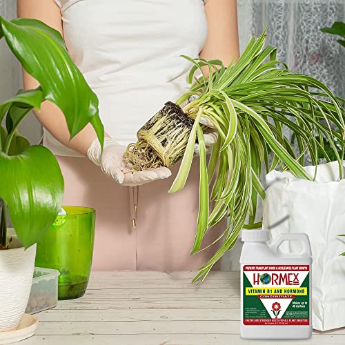 Hormex Liquid Rooting Hormone Concentrate & Root Stimulator with B1, 8 oz
