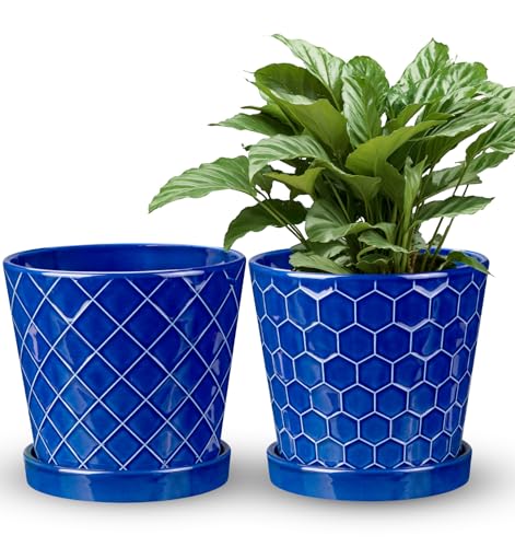 EFISPSS 6 Inch Pots for Indoor Plants,Ceramic Plant Pots,Planters with Drainage Hole and Saucer, Flower Pots Desktop Office Windowsill Decoration Gift Set of 2 - Sapphire Blue - color: Blue, size: 6+6 Inch