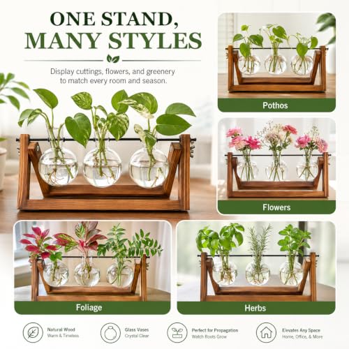 Renmxj Plant Propagation Station, Plant Terrarium with Wooden Stand - size: 3 Bulb Vase