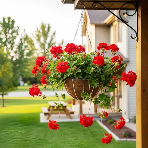 HOSY 2-Pack 12-in Hanging Metal Planter Baskets with Coconut Fibre Liner - color: Stripes - White