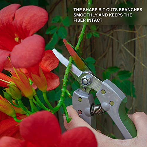Garden Scissors Hand Pruner Pruning Arranging Flowers, Trimming Plants and Harvesting Herbs, Fruits or Vegetables 7 Inch 6146-13903-01A