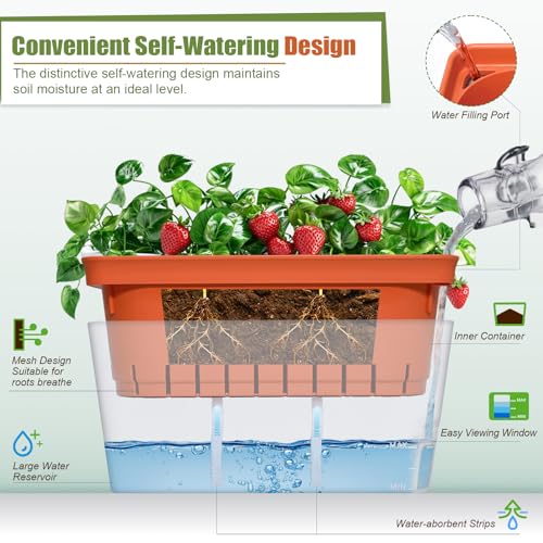 OurWarm Windowsill Herb Planter Box Set of 6, 10.5 Inch Self Watering Pots for Indoor Plants, Flower Box with Water Level Window, Colorful Plastic Flower Pots & Planters for Herbs, Vegetables, Flowers - size: 6 PACK