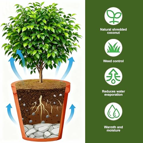 4 Pack 15.7 Inch Coconut Fiber Mulch Ring - Natural Coco Coir Tree Ring Protector Mats, Weed Barrier Plant Discs for Moisture Retention, Indoor Outdoor Trees and Landscaping - size: 4 Pack 15.7 Inch
