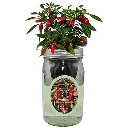 Hydroponic Pepper Growing Kit, Self-Watering Mason Jar Vegetable Starter Kit Indoor, Grow Peppers from Organic Seeds (Sweet Nardello Pepper) - color: Pepper - Sweet Nardello