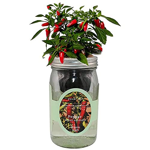 Hydroponic Pepper Growing Kit, Self-Watering Mason Jar Vegetable Starter Kit Indoor, Grow Peppers from Organic Seeds (Sweet Nardello Pepper) - color: Pepper - Sweet Nardello
