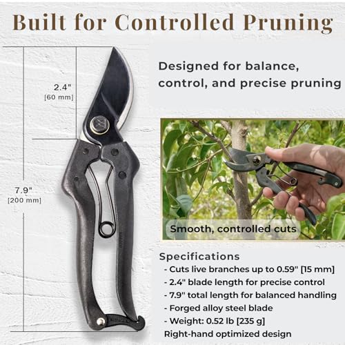 Wablade Japanese Pruning Shears, Bypass Garden Pruner 7.9", Made in Japan - style: Standard Model