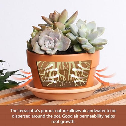 INGOFIN 5 Inch Terracotta Shallow Pots Set with Saucer - Ceramic Clay Pots with Drainage Hole, Terra Cotta for Plants for Indoor Outdoor Plants, Set of 6 - size: Shallow 5 inch-6 pcs