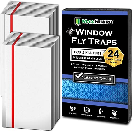 MaxGuard Window Fly Traps (24 XL Traps) Catch & Kill Houseflies, Flying Insects & Bugs. Non-Toxic Sticky Glue Traps Fly Killer Clear Strip Insect Catcher Safe No Zapping with Zapper | - size: 24 XL Traps