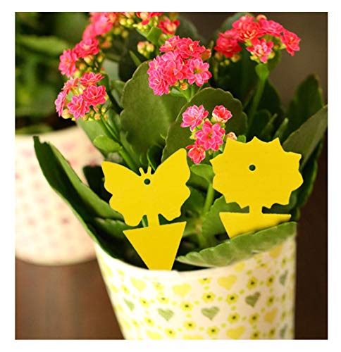 12 Pack Yellow Sticky Bugs Traps for Indoor/Outdoor Use, Gnat Trap for Flying Plant Insect Such as Fungus Gnats, Whiteflies, Aphids, Fruit Fly, Leafminers- Disposable Glue Trappers