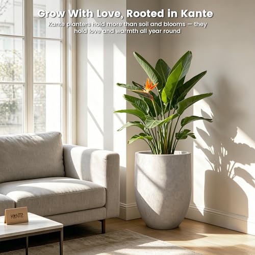Kante Large Round Bullet CON Gray Concrete Planter 21.7" Tall, Outdoor - color: Light Gray