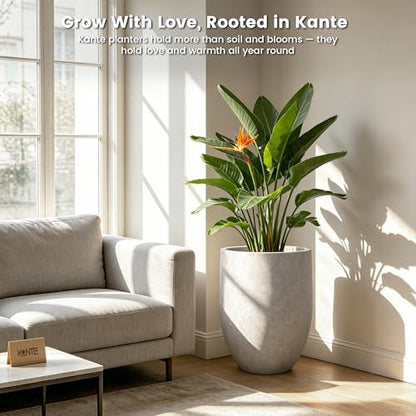 Kante Large Round Bullet CON Gray Concrete Planter 21.7" Tall, Outdoor - color: Light Gray