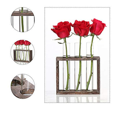 Kingbuy 3 Pack Glass Test Tube Propagation Vase Hydroponic Cuttings Planter - size: 3 Pack