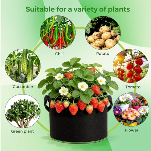 CHRORINE 6-Pack 5 Gallon Grow Bags 300G Thickened Aeration Fabric Pots with Handles Suitable for Planting Plants Flowers and Fruits - size: 5 Gallon