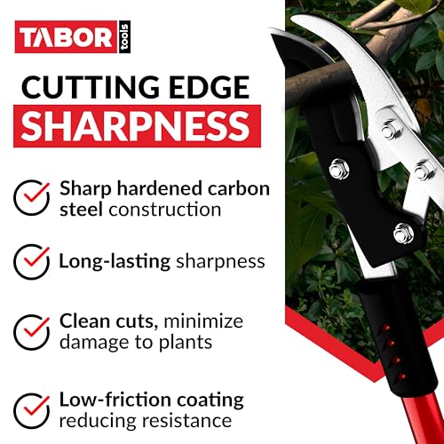 TABOR TOOLS GG11A Bypass Lopper with Compound Action, 30 Inch Tree Trimmer & Branch Cutter, Heavy Duty Tree Pruner with 1 3/4 Inch Cut Capacity, Delivers Clean Cuts with Ease - style: GG11A 30 Inch Bypass Lopper