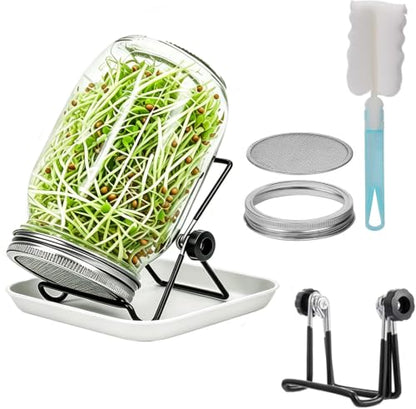 Lulonpon One Sprouting Jar Kit, Wide Mouth Quart Mason Jars with Stainless Steel Screen Sprout Lids, 86mm,1000ml,Stand,Tray and Canning Brush,Seed Sprouter Set for Growing Broccoli, Alfalfa, Mung Bean - color: White-NoCoverPTray