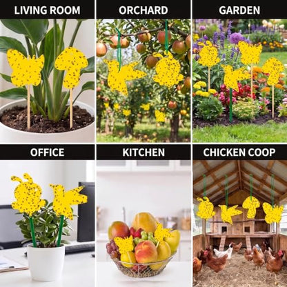 Fruit Fly Trap 96 Pack Yellow Sticky Gnat Killer Traps for Indoor Plants - size: 96 Packs