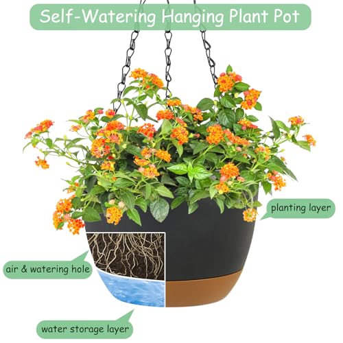 LIYDE 3 Pack Hanging Planters, 8 Inch Small Hanging Pots Self Watering Hanging Planters for Indoor Plants with Drainage Holes and Removable Tray Hanging Basket (Grey) - color: Gray