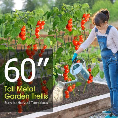 RIFNY Cucumber Trellis for Raised Bed, Garden Trellis 16.5 x 60 Inch, Green - color: Green, size: 16.5 x 60 Inch