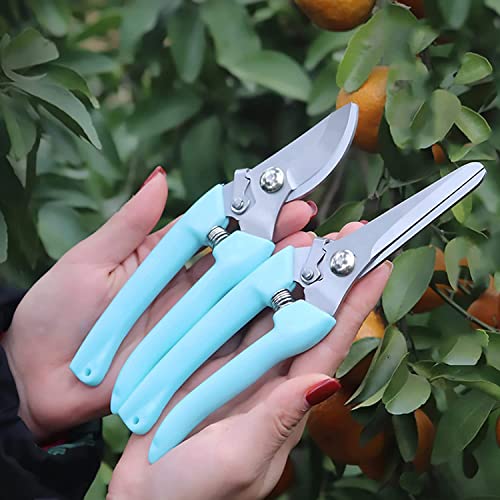 Leize Flower Scissors Set, 2 Pack Premium Thickened Stainless Steel Floral Shears, Strong Pruner for Flowers, Branches and Leaves, Upgrade - color: Lightblue2p