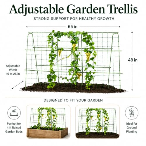 FOLLOOK Cucumber Trellis for Raised Garden Bed,63x48inch, Green - color: Green, size: 63x48inch