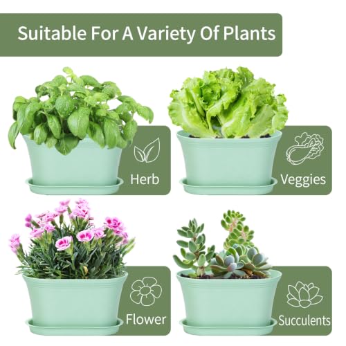 Oliz Set of 6 Windowsill Herb Garden Planters Green w/ Drain Trays - color: Green