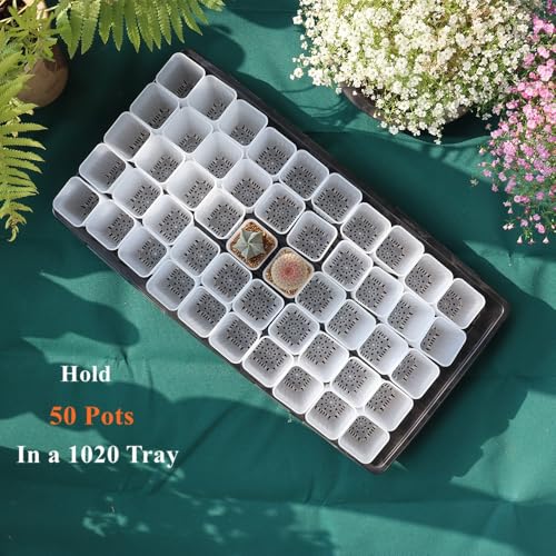 60 Pack 1.95 Inch Tiny Clear Plastic Square Nursery and Seedling Pot, Mini Deep Transplant Seed Starter Planter with Drain Hole for Germination, Herb, Succulent - color: Clear