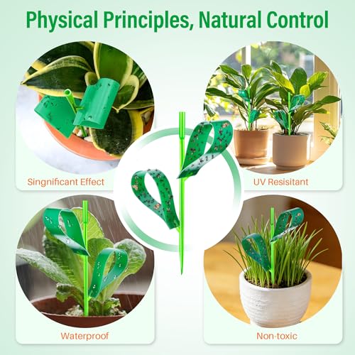 100 Pcs Gnat Sticky Traps for Plants, Sticky Traps for Gnats with 20 Stakes to Control, Aphids, Plant Bug, Mosquito Bits and Whiteflies(Green) - color: Green