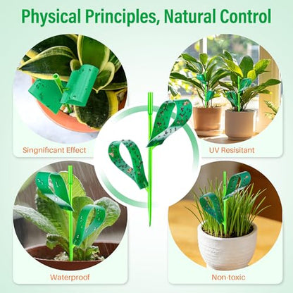 100 Pcs Gnat Sticky Traps for Plants, Sticky Traps for Gnats with 20 Stakes to Control, Aphids, Plant Bug, Mosquito Bits and Whiteflies(Green) - color: Green