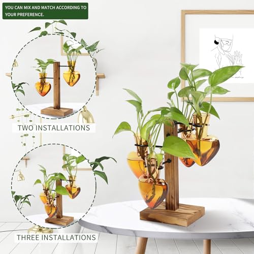 Plant Terrarium Propagation Stations with Wooden Stand - color: Arbor