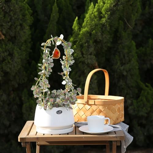 2PCS Small Gold Plant Trellis for Indoor Potted Climbing Plants with Agate - color: 01-White Red