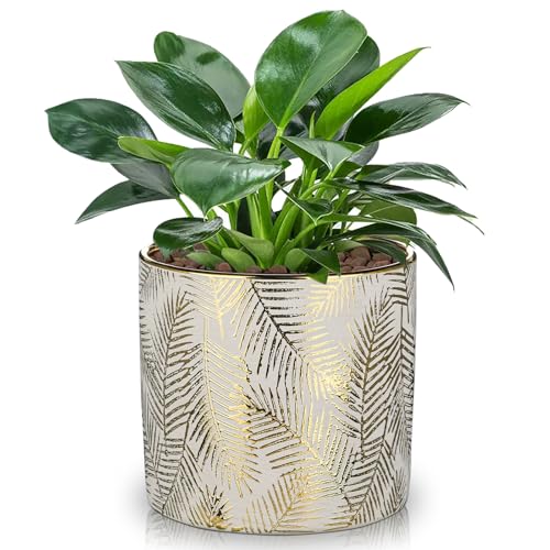 Oairse Small Ceramic Pot for Indoor Plants, 5.3 inch Plant Pot with Drainage Hole Decorative Texture Gold Planter Indoor Outdoor Flower Pots for Succulent Snake Plant Pothos Orchid - color: Pinkish Grey & Gold