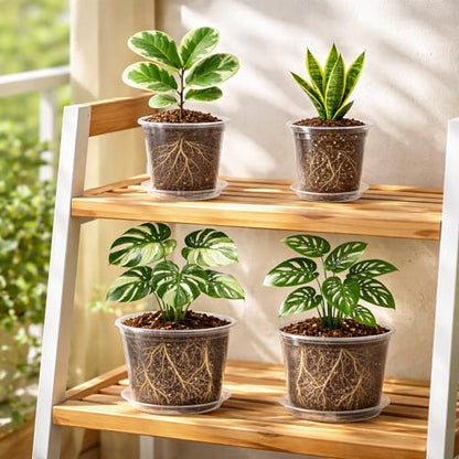 Bluepro Clear Nursery Pots with Saucers, 5/6/8/10 Inch, 12-Pack - size: 5/6/8/10 Inch-12Pcs