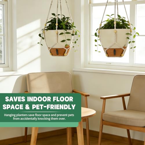 Self-Watering Hanging Planters for Indoor Plants Set 2-Piece Includes Plant Hanging Pot, Drainage-Hole Hanging Pot, and Hanging Basket Rack (10 Inches, White) - color: White