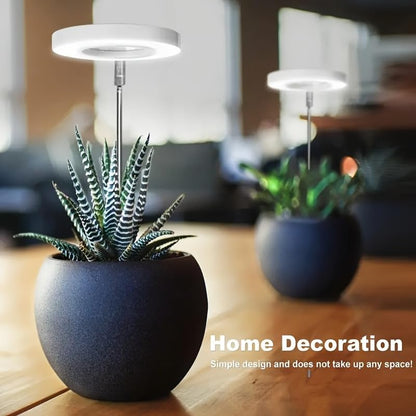 LED Plant Grow Light, Full Spectrum Ring Lamp with Adjustable Height Stand for Indoor Plants (Double-Headed Plant lamp) - color: Double-headed plant lamp