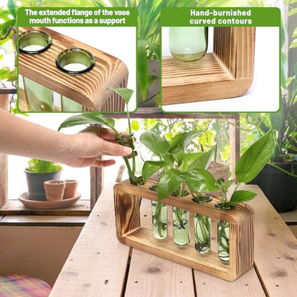 Glass Plant Propagation Station with 5 Test Tubes Colorful Planter Vase - color: Green