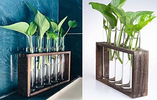 Wall Mounted Hanging Glass Test Tube Planter Propagation Station Glass Vase Rack with Wood Stand, Plant Terrarium Holder for Hydroponics Succulent Air Bamboo Plants with Test Tube
