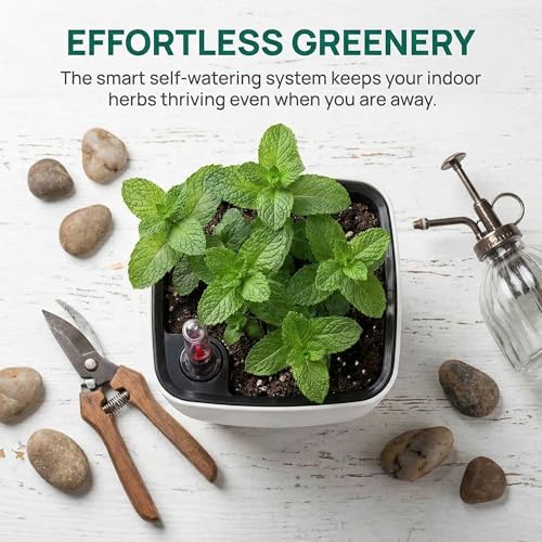 yarlung 6 Pack Self Watering Planter with Water Level Indicator, 5 Inch Plastic Plant Flower Pots Nested Container for Indoor Plants, Herbs, Aloe, Outdoor Gardening