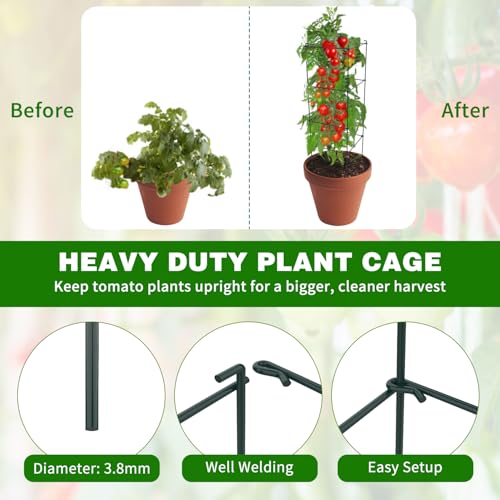 6 Packs Tomato Cages for Garden, 12"×12"×39" Plant Support Cage with Different Spacing, Green Metal Trellis for Climbing Plants Like Cucumber, Flowers - size: 12"×12"×39" 6 Packs