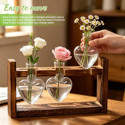 Plant Terrarium Propagation Stations with Heart Hydroponic Vase