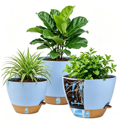 Ecolley 8/10/12 Inch Self Watering Pots for Indoor/Outdoor Plants - Large Plastic Planter with Drainage Holes, Water Level Indicator & Deep Reservoir, Modern Decorative Flower Pots (Light Blue) - color: Light Blue