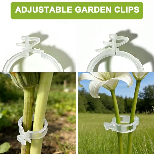 150Pcs Tomato Clips for Climbing Plants/String Trellis,2026 Adjustable Ties for Gardening,Plant Support Clips for Tomato Vine Clips,Plant Fixing Clips,Grape and Vine Vegetables（Transparent） - color: Transparent