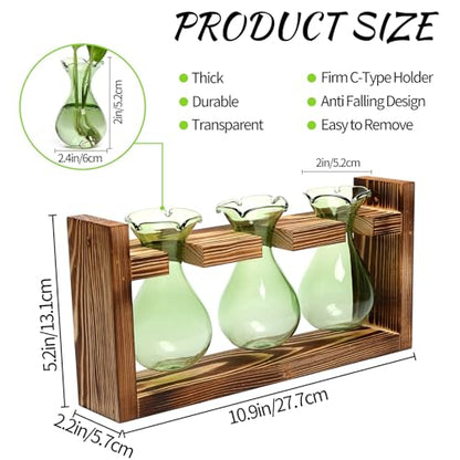 Plant Propagation Station Plant Terrarium Unique Birthday Gifts for Women - color: Green