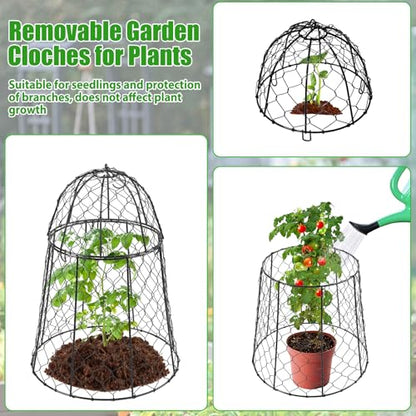 6 Pack Garden Cloches for Plants, Sturdy Chicken Wire Cloches Plant Cover