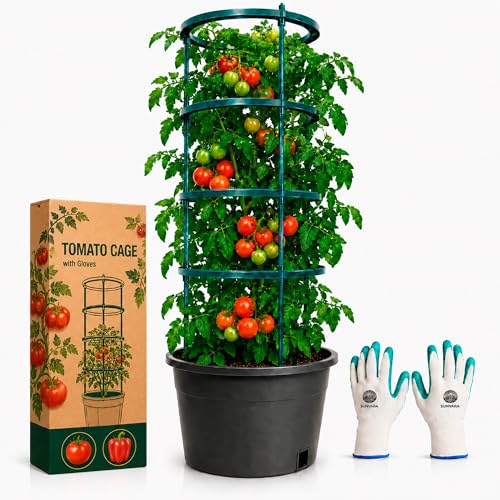 SunVara Tomato Cages For Garden Tomato Trellis For Raised Garden Bed Tomato Plant Support Garden Cage Tomato Cages Heavy Duty Tomato Cages for Pots Tomato Support Garden Cages For Vegetables, Green