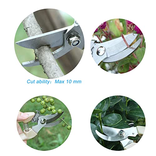 Curve Gardening Scissor with Sharp Stainless Steel Blade Garden Shears for Cutting Flowers Trimming Plants of Yard Florist Flower Rose Herb Hedge Bonsai and Fruits Picking - color: White