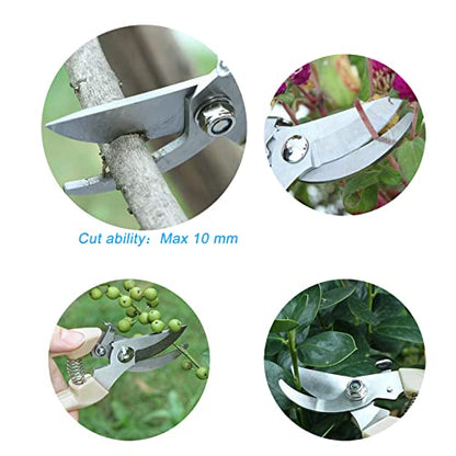 Curve Gardening Scissor with Sharp Stainless Steel Blade Garden Shears for Cutting Flowers Trimming Plants of Yard Florist Flower Rose Herb Hedge Bonsai and Fruits Picking - color: White