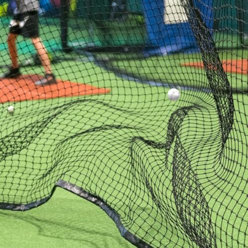 Baseball Backstop Nets | Professional Grade Sports Netting Available in 82 Sizes - 100% Weatherproof with Overlocked Edges - size: 10' x 16'