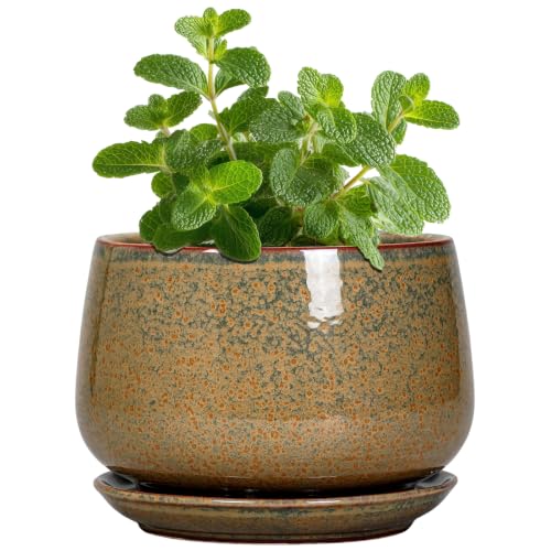 G EPGardening Ceramic Pots for Plants, 4 Inch, Speckled Brown - color: Speckled Brown, size: 4 Inch