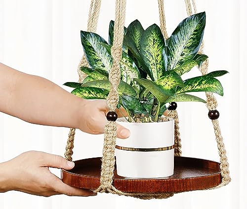 2 Pack Plant Hanger Indoor, Hanging Plant Shelf (12" + 10") - color: Brown, size: 2-Pack, 1-Tier