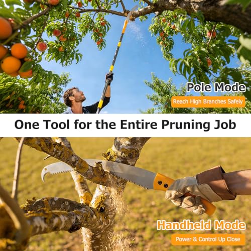 Pole Saw For Tree Trimming,2-In-1 Manual Pole Pruning Saw, 15.2FT High Reach Handheld Push-Pull Tree Trimmer With 15.7" Triple-Ground Blade Cutter For Branches,Orchard, Palm Trees, Shrubs,Limbs